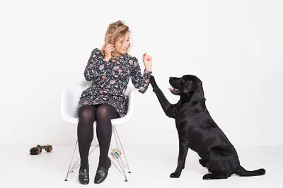 TellMeHau Kraków - behawiorysta psów - trener psów